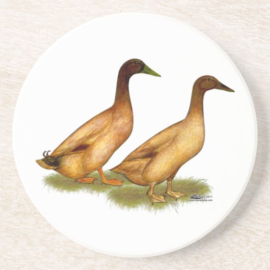 Enten: Khaki Campbell Getränkeuntersetzer (Vorne)