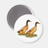 Enten: Khaki Campbell Magnet (Vorderseite/Rückseite)