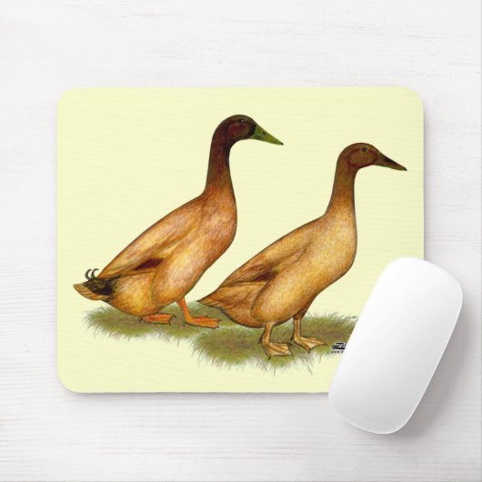 Enten: Khaki Campbell Mousepad (Mit Mouse)
