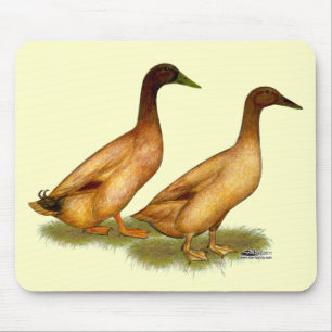 Enten: Khaki Campbell Mousepad