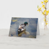 Enten-Kreise Karte (Gelbe Blume)