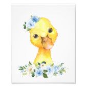 Enten, Landtiere, Blütenblumen, Junge Kinderzimmer Fotodruck (Vorne)