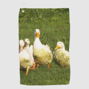 Enten, lebend, Wiese, Tier, Bauernhof, Landleben, Golfhandtuch