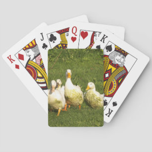 Enten, lebend, Wiese, Tier, Bauernhof, Landleben, Spielkarten