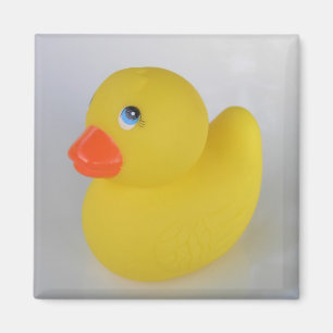 Enten-Magnet Magnet