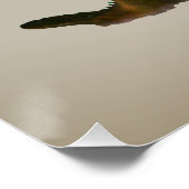 Enten mallards. Loyalität Poster (Ecke)