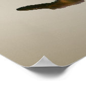 Enten mallards. Loyalität Poster (Ecke)