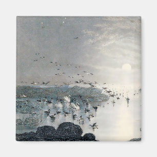 Enten, Mallards und Schwäne am See bei Sonnenunter Magnet