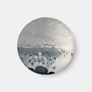 Enten, Mallards und Schwäne am See bei Sonnenunter Magnet