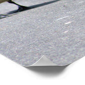 Enten mit Gänsen Poster (Ecke)