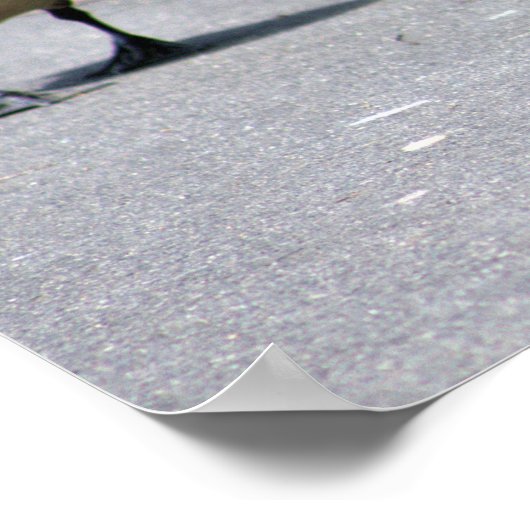 Enten mit Gänsen Poster (Ecke)