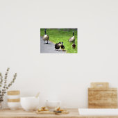 Enten mit Gänsen Poster (Küche)