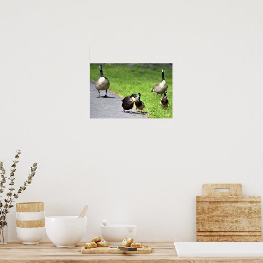 Enten mit Gänsen Poster (Küche)