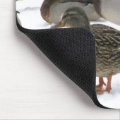 Enten! Mousepad (Ecke)
