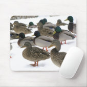 Enten! Mousepad (Mit Mouse)