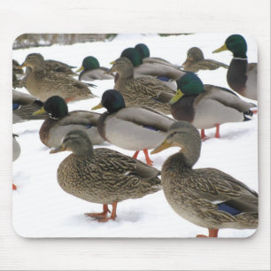 Enten! Mousepad