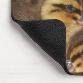Enten!! Mousepad (Ecke)