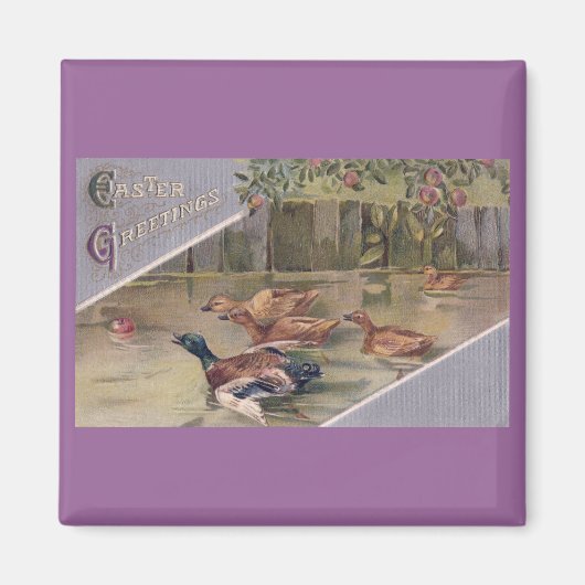 Enten nach Vintagem Ostern von Apple Magnet (Vorne)