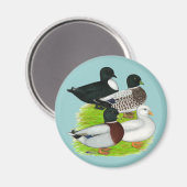Enten nennen: Quartett Magnet (Vorderseite/Rückseite)