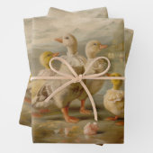 Enten - Ölgemäldepapier Geschenkpapier Set (Beispiel)