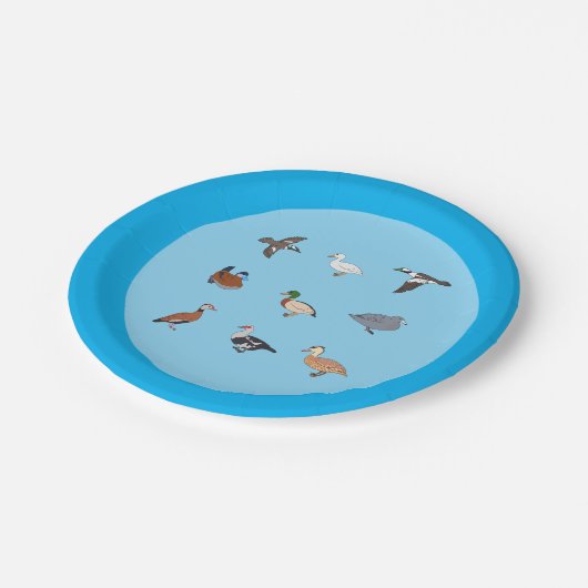 Enten Paper Teller (Schrägansicht)