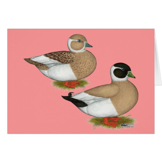 Enten: Penzitierte Anrufe (Vorderseite (Horizontal))