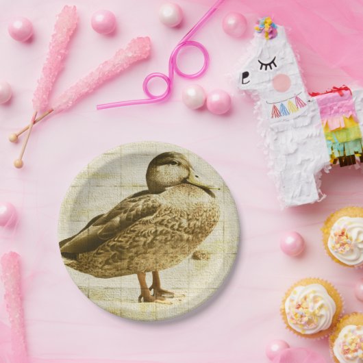 Enten-Platte Pappteller (Party)