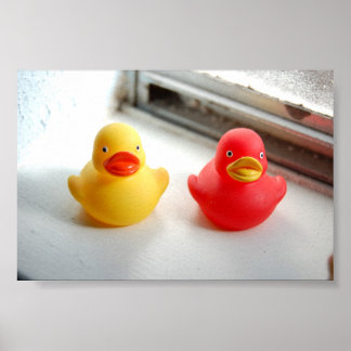 Enten Poster
