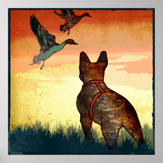 Enten Poster (Vorne)