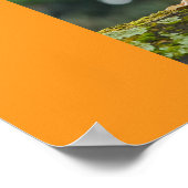Enten Poster (Ecke)