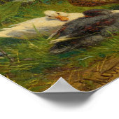 Enten Poster (Ecke)