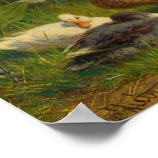Enten Poster (Ecke)