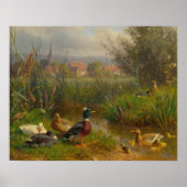 Enten Poster (Vorne)