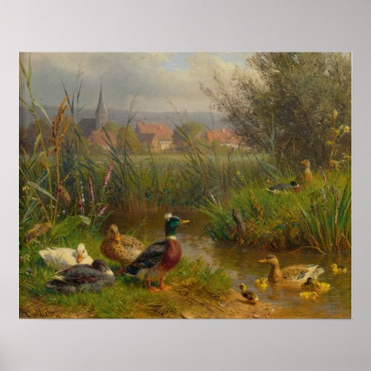 Enten Poster (Vorne)