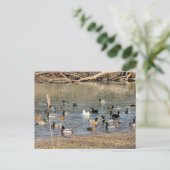 Enten Postkarte (Stehend Vorderseite)