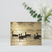 Enten Postkarte (Stehend Vorderseite)