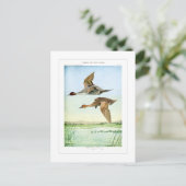Enten Postkarte (Stehend Vorderseite)