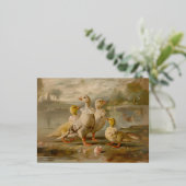 Enten - Postkarten für Fohlen (Stehend vorne)