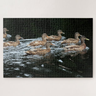 Enten Puzzle