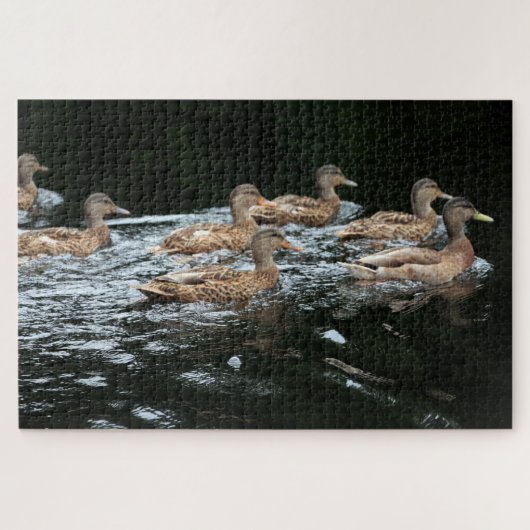 Enten Puzzle (Horizontal)