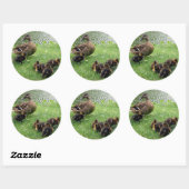 Enten Runder Aufkleber (Blatt)