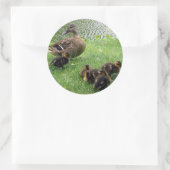 Enten Runder Aufkleber (Tasche)