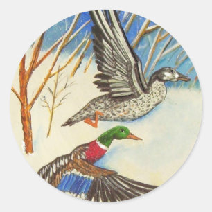 Enten Runder Aufkleber