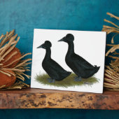 Enten: schwarz gekreuzt fotoplatte (Seite)