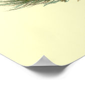 Enten: schwarz gekreuzt poster (Ecke)