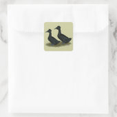 Enten: schwarz gekreuzt quadratischer aufkleber (Tasche)