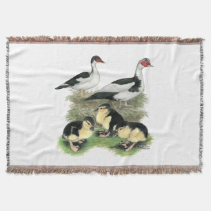 Enten Schwarz-Weiß Warzenente Familie Decke