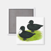 Enten: Schwarze Anrufe Magnet (Vorderseite/Rückseite)