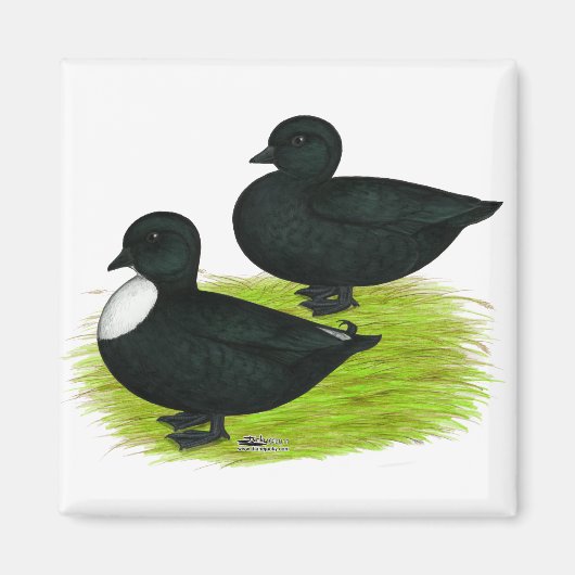 Enten: Schwarze Anrufe Magnet (Vorne)