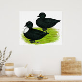 Enten: Schwarze Anrufe Poster (Küche)
